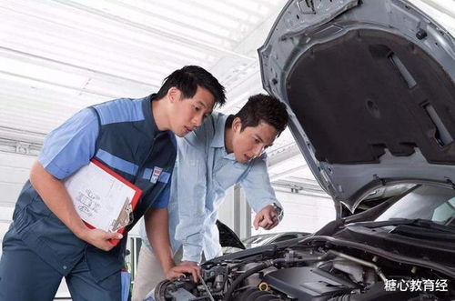 中考分流下的雙重心累 教育焦慮與家庭經(jīng)濟的雙重壓力